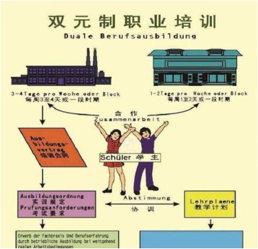德国“双元制”的教学模式是一种职业的培训模式